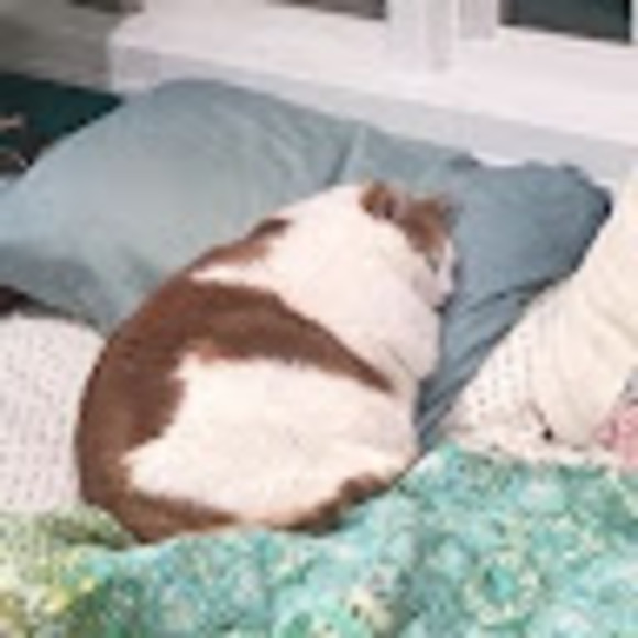 Meet your Posher, Mariana - Picture 1 of 1